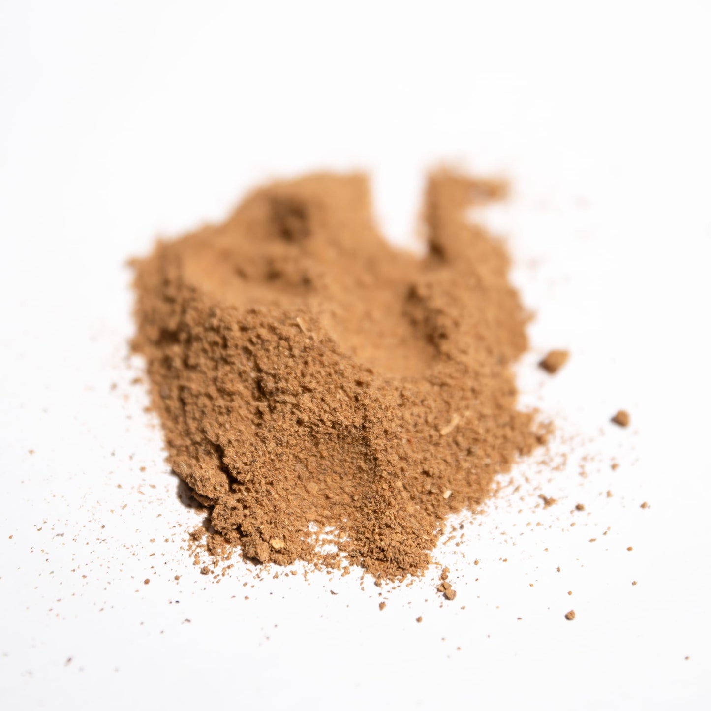 Costus Indien (poudre)