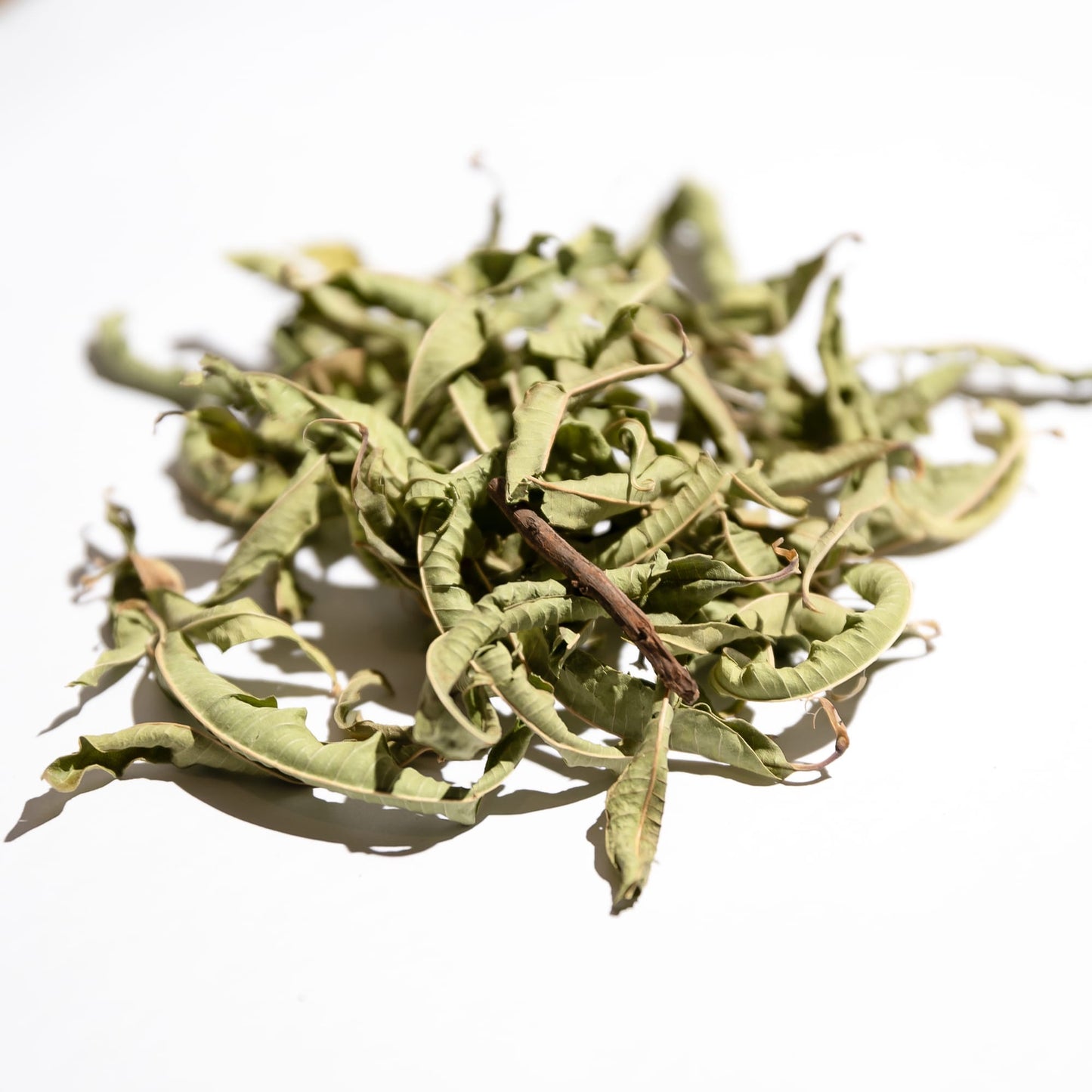 Verveine odorante BIO (feuille entière)