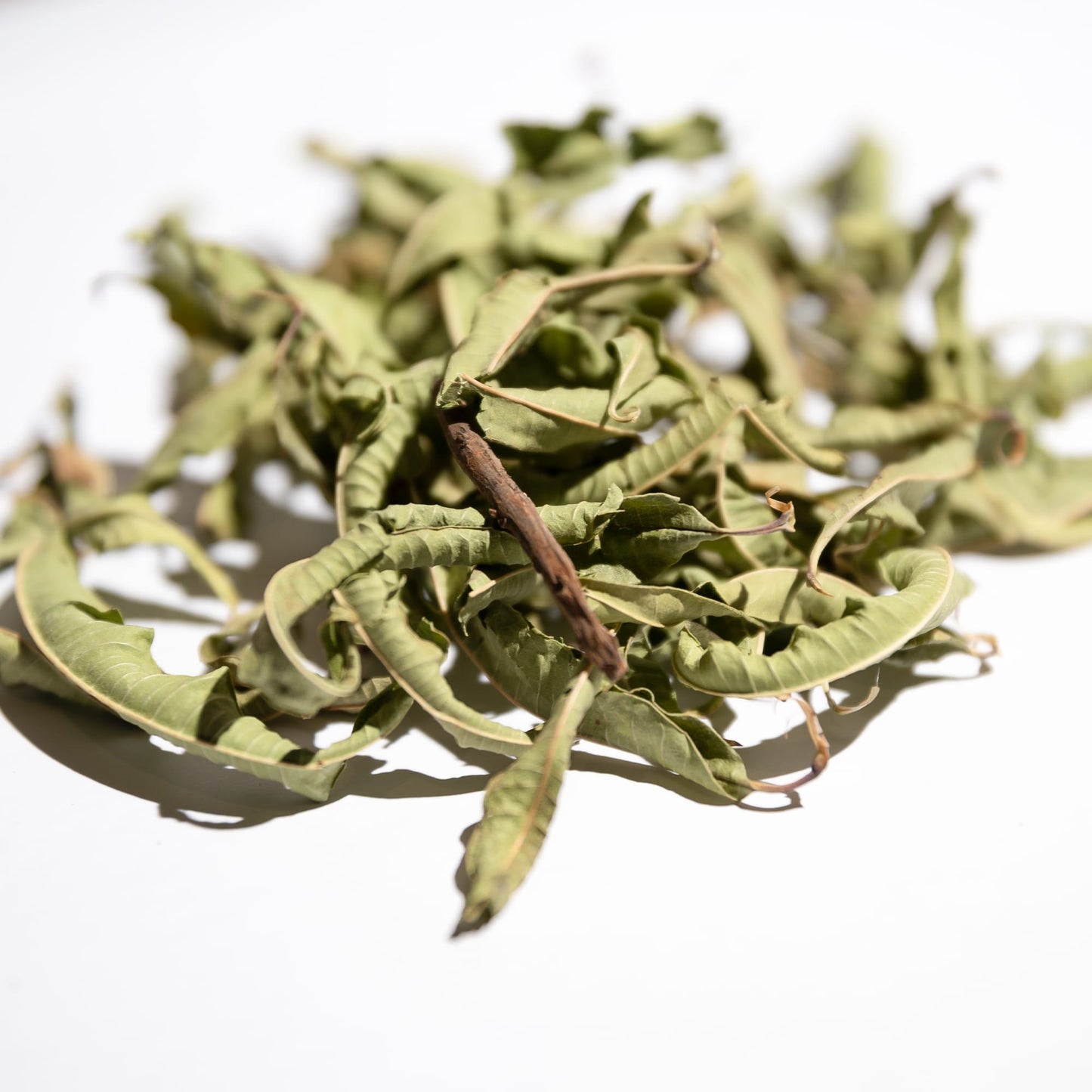 Verveine odorante BIO (feuille entière)