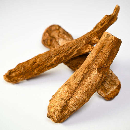Costus Indien 100% naturel