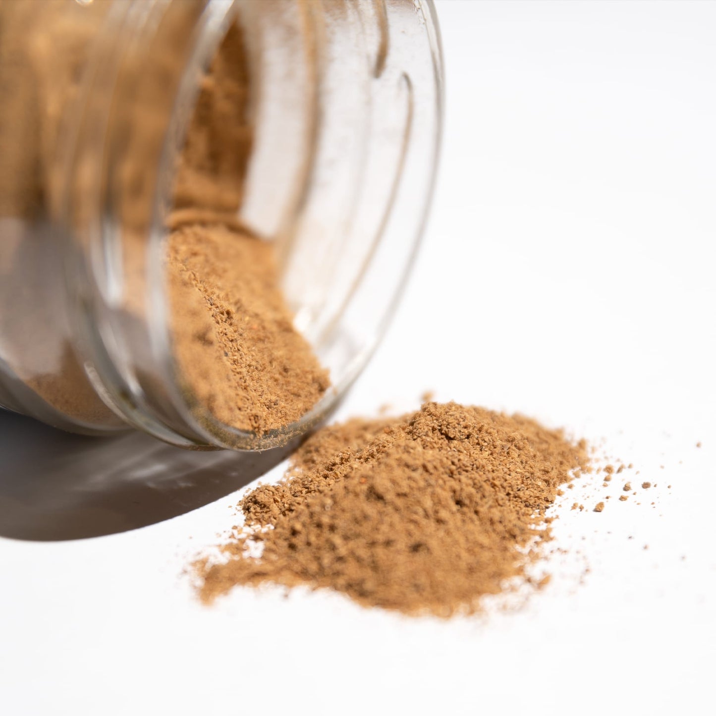 Costus Indien (poudre)